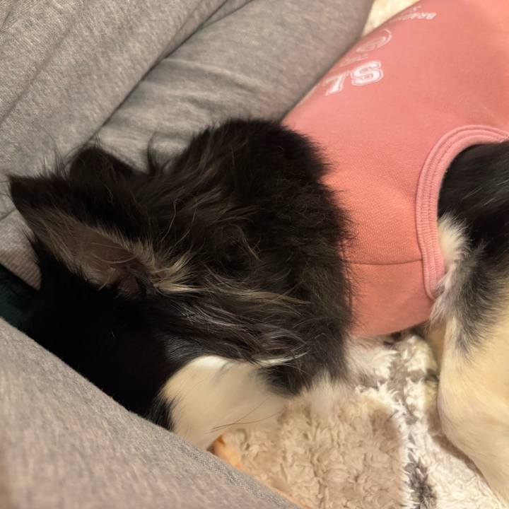 9063bcb7 fe5e 44fd b13a 2dac2aaa2a2e 1739290010694