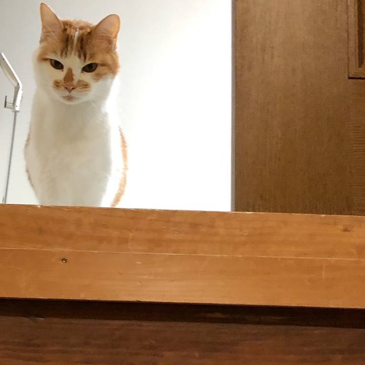 9063d0f7 63da 4a47 a603 cdc1e4371e85 1613652615910