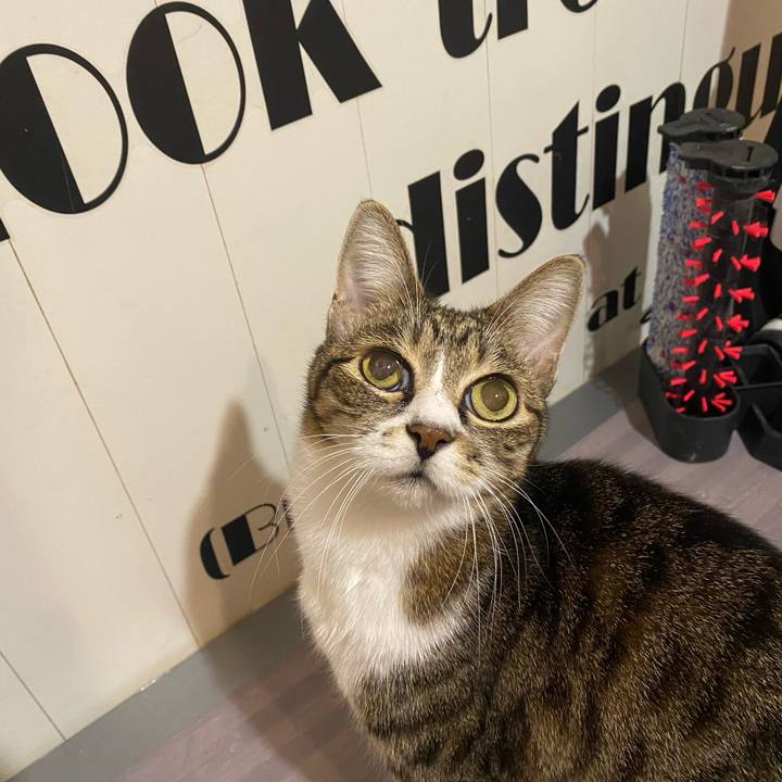 9063da09 4e96 4e1c 8092 728652785437 1669214948548