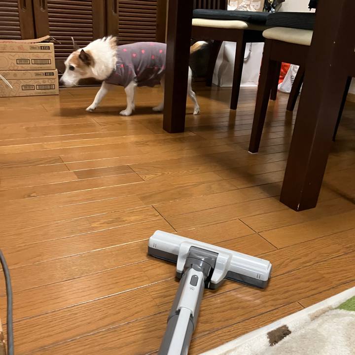 906412b3 9188 4946 8d3b 9e36a19974da 1728429552411