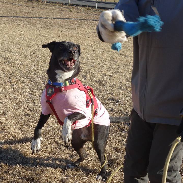 90642b3d ae58 428a a96d f1c60bdf6222 1675038799667