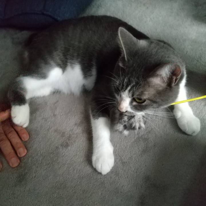 906435e1 05bf 4a5e bafb 5234ff049b06 1599000292436