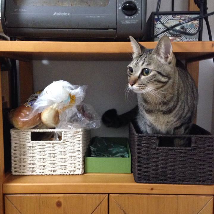 90643b59 00b9 4259 a85f 5daac381236c 1512611575528