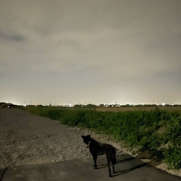 90646fbf 48b2 4b2b ad54 49a71487f206 1665003735433