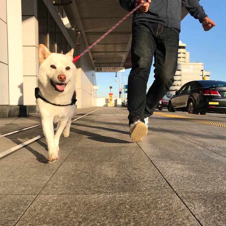 90647b1d ef0f 48b3 a68d 42d9a2b68fe0 1541113321863