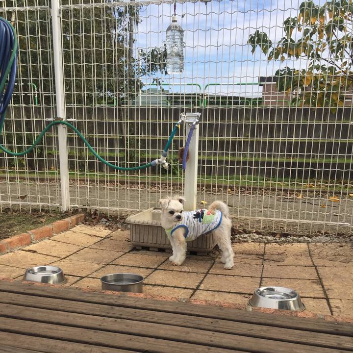 9064a236 ab0f 4820 8d98 a9de4ecddcfd 1541582652957