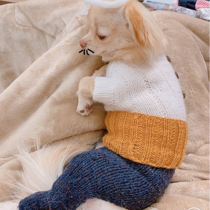 9065142f eff3 4037 88af c36ce69aacb6 1614673819824