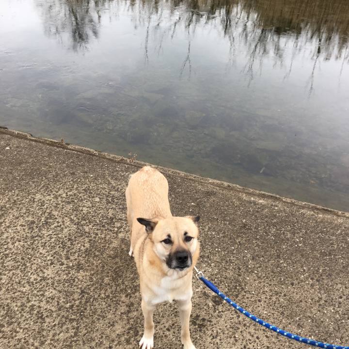 90652f2e 0c9a 4b5b a9e7 47501c77689f 1517109227549