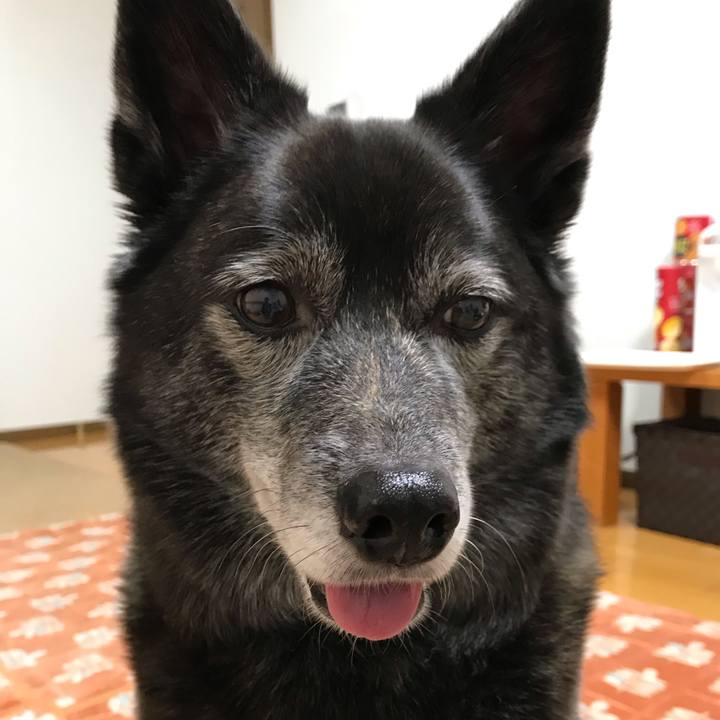 906534a1 13b7 4da3 b13d b9806213a831 1555807393305