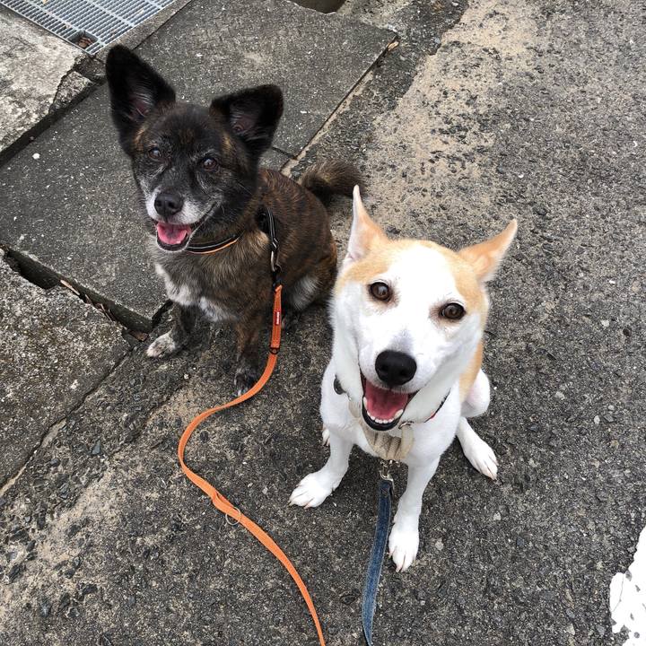 906561c1 6b46 4ba4 bc93 d25b0f5d19e0 1595331891689