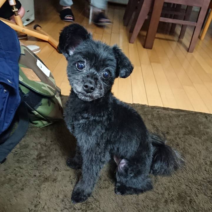 90656b30 37e1 4c93 8780 401fb9abf834 1522585731486