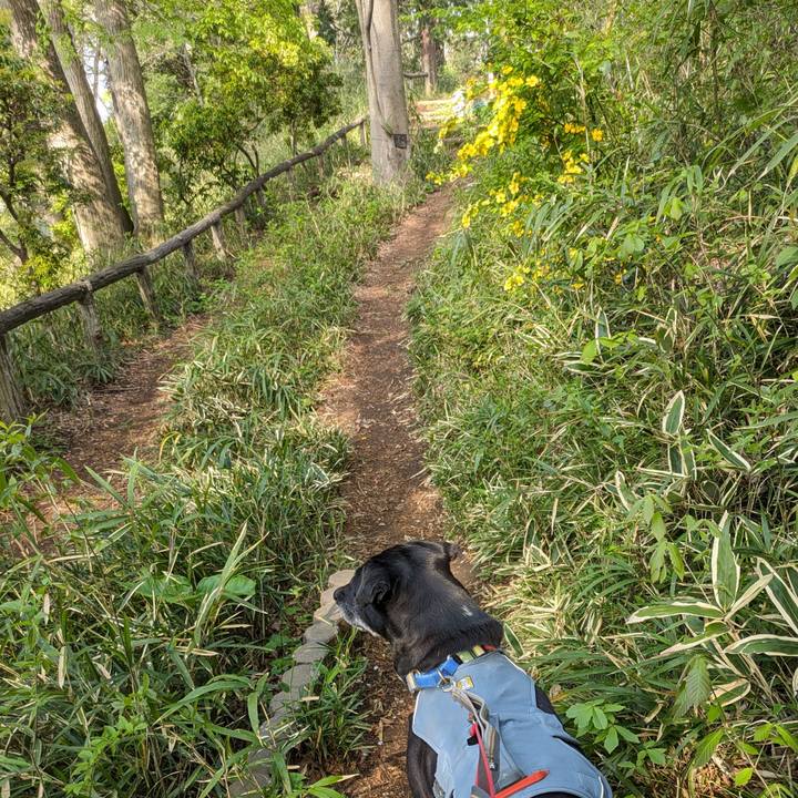 90658d6f 7485 4531 8ab9 52002c191847 1713052542217