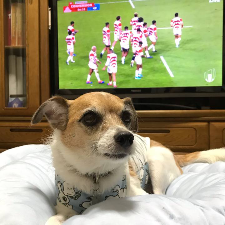 90659c58 b6ff 42f1 92db 0e4f14732299 1570278607426