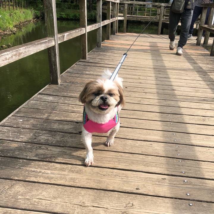 9065b266 d531 4388 8a23 f81a53fd6218 1558163010319