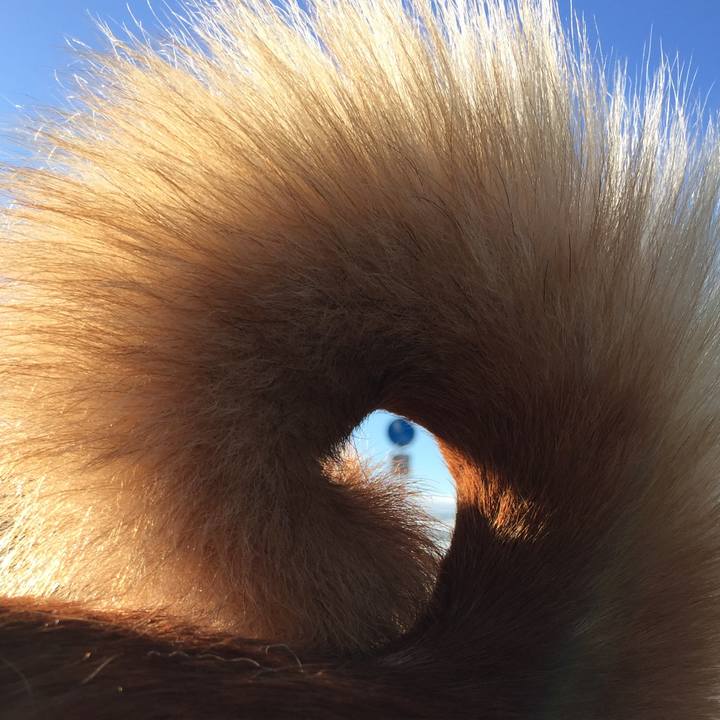 9065b806 a239 4a5d b7bc 27c3d3fe252e 1510750633734