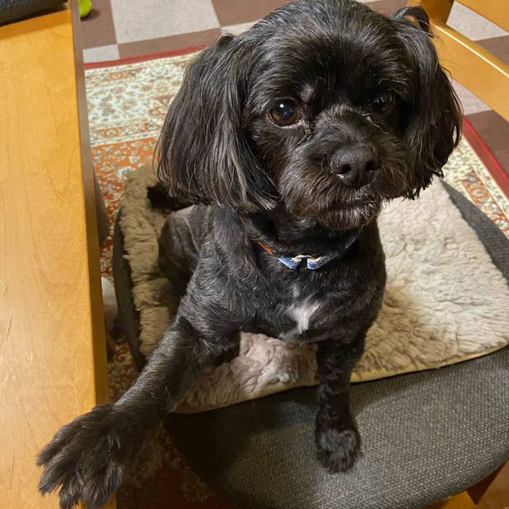 9065c50d fdca 4778 b498 107f616ac1d2 1689682153584