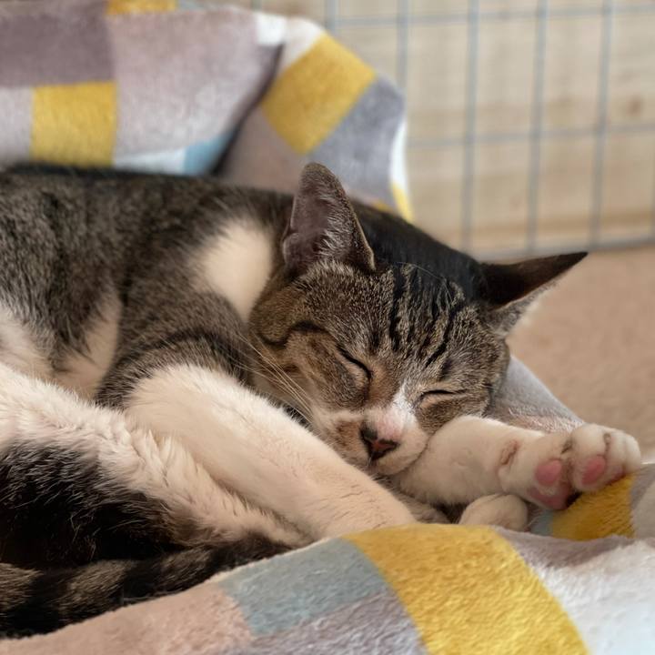 9065c66f 8d41 4282 af0d a0fe2b79c482 1627602255113