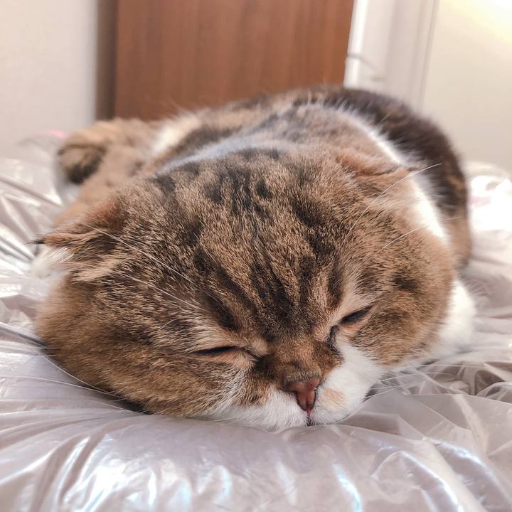 9065ea53 6ad4 4c4a a5f7 a61408a687c5 1557713255375