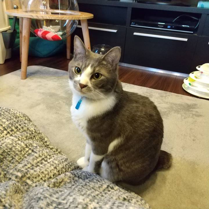 9065f3bf 4461 4c39 a5e1 542c22486092 1614720522129