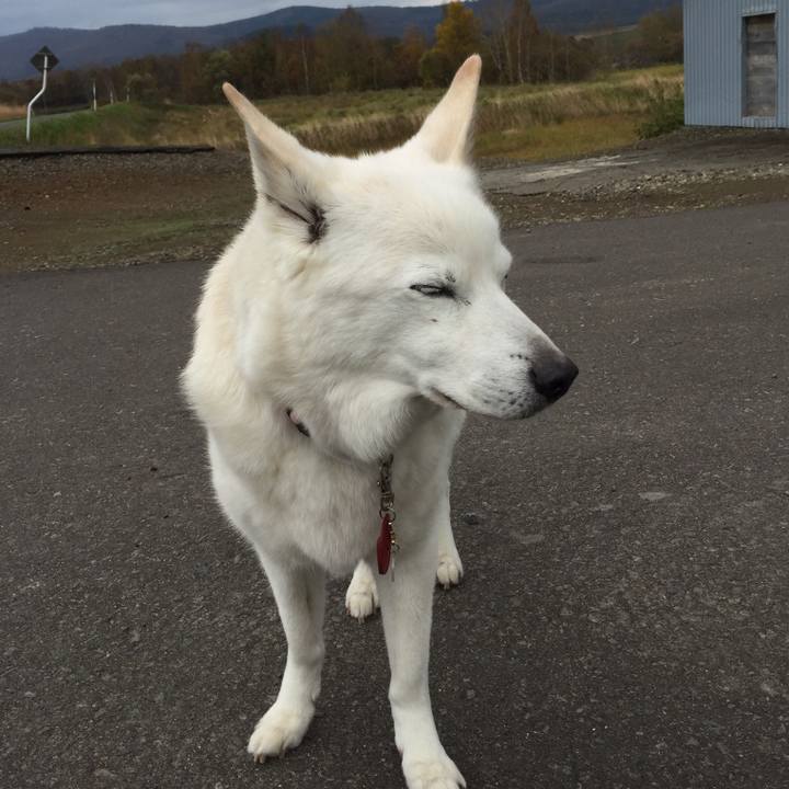 9066083e 31aa 492f 8ff8 163d77c03fff 1536201318059