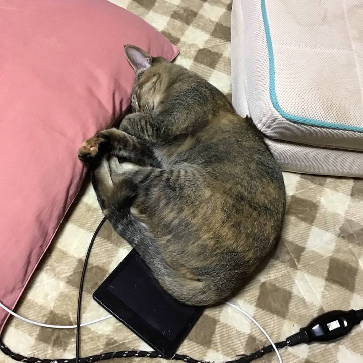 90663903 5e48 46e6 87ab 330ab5a5e939 1574066383514