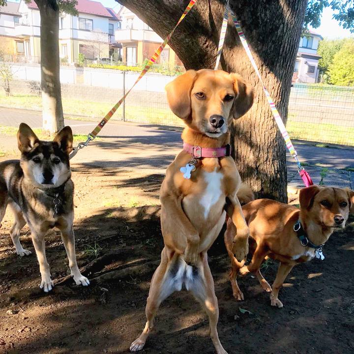 90663a2a ab7f 47c1 83a3 72cb20e787bf 1510790166239