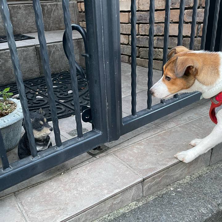 90665693 f142 4354 95c2 ede5f3d95d4e 1693484816315