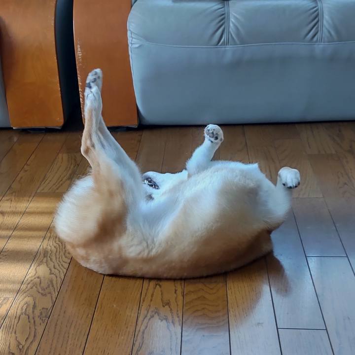 90665a0a 729d 416b 8513 35c54fc53c2f 1738465926273