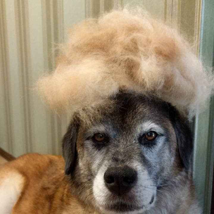 90669d96 4c48 4930 898f f5a05bee7381 1624495871888