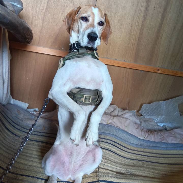 9066bf0c 3032 4d63 a699 32ba1eed0968 1719733826240