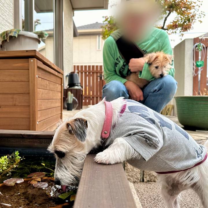 9066d19e cb3a 4d66 9652 a273c02a8902 1702732990197