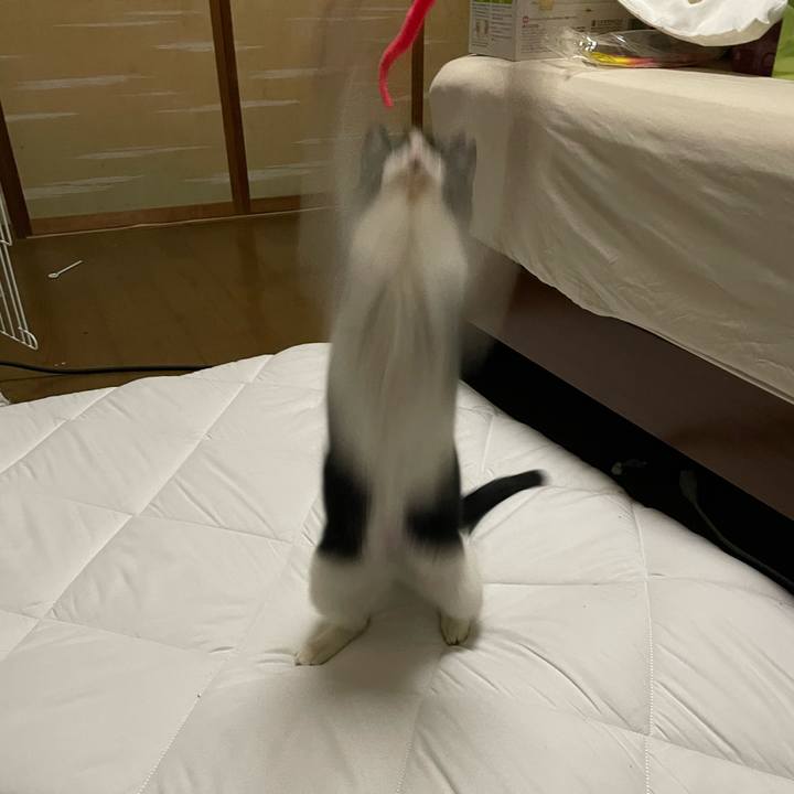 9066d1e7 2f26 4f22 8e91 c1fcc4fd363f 1677941147711