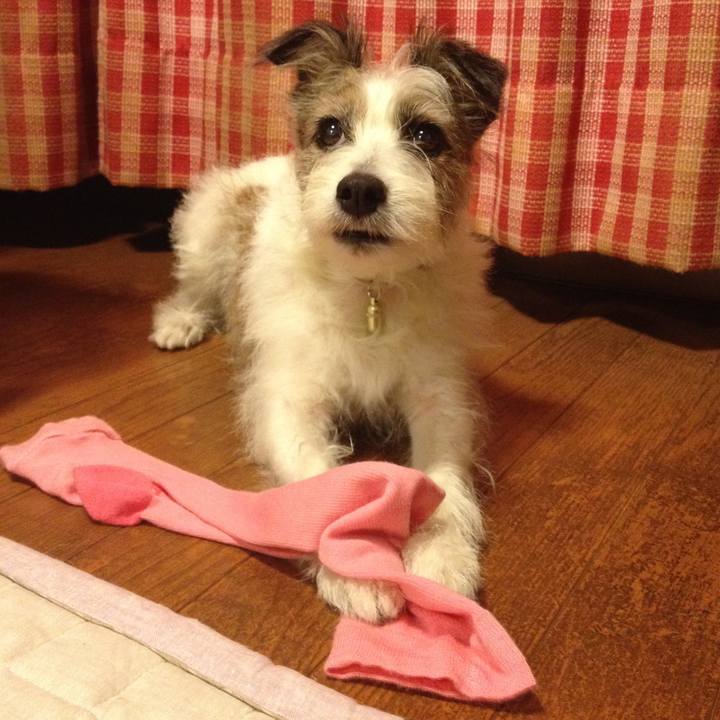 9067211c 8554 4953 82ae e10b0dbaee88 1547345706544