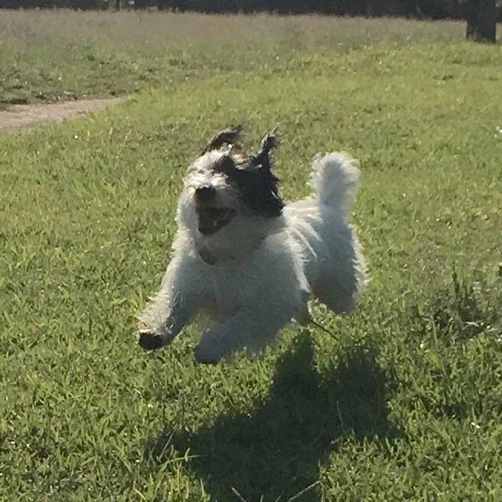 90673b0a 8d59 49fb a694 a728ad714009 1509401199815