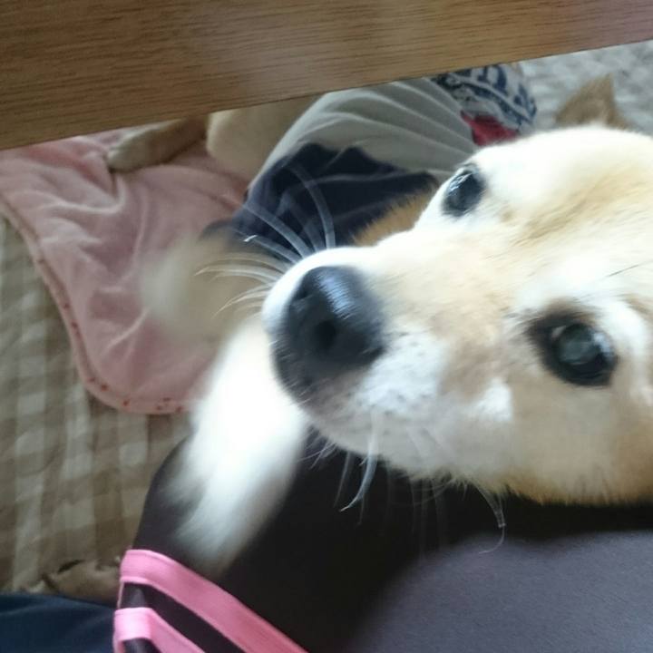 90673be0 4d44 4741 87db 8e4f700f4906 1535796221225