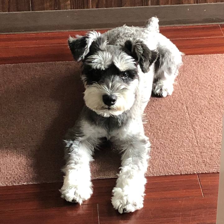 90682082 10c0 4f9a 837a dcd29e689c26 1625367912444