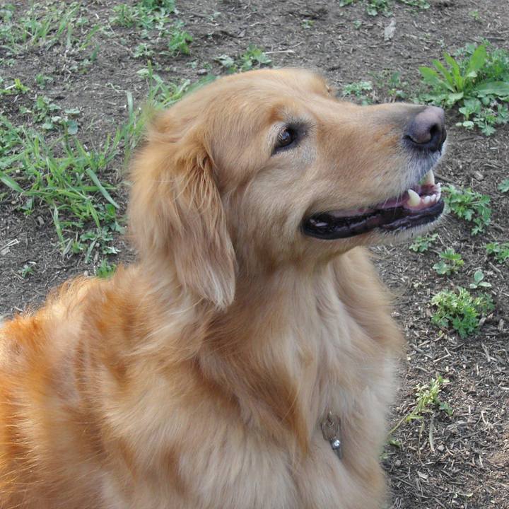 90683382 6bc6 4e78 a559 5a6752ba5b2d 1526047081838