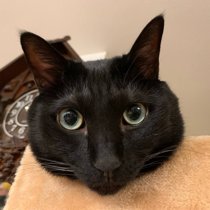 906841af fe7b 411f b9f2 0453310e8e65 1697210087053