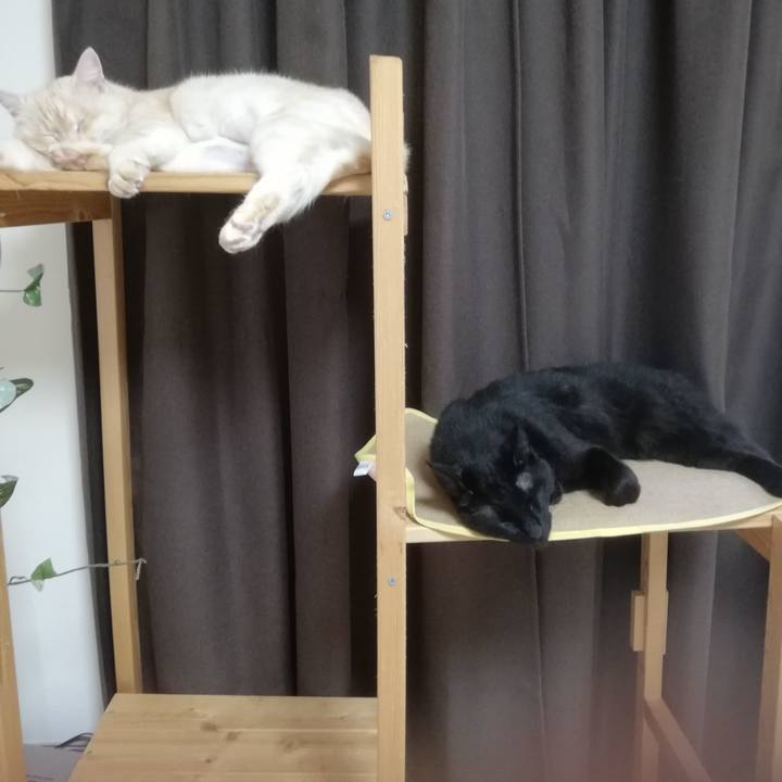 90686acd 55b8 4db9 b28b 9258abc11ad2 1655985982376