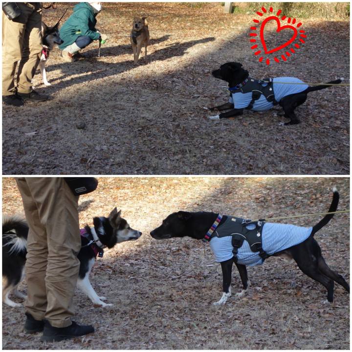 90688953 c5db 427d 9ea3 cf2a80b2010b 1640915751432