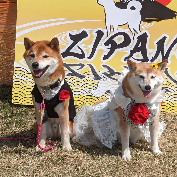 9068924c 99b0 4778 8729 99efb585cd06 1713191897240