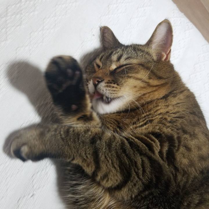 9068a44a 3cc3 406f 874a 102e2c5e87cf 1580126534100