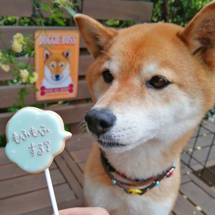 9068dfd6 5a16 43cd b95a bf9dd5f9de7c 1651104494806