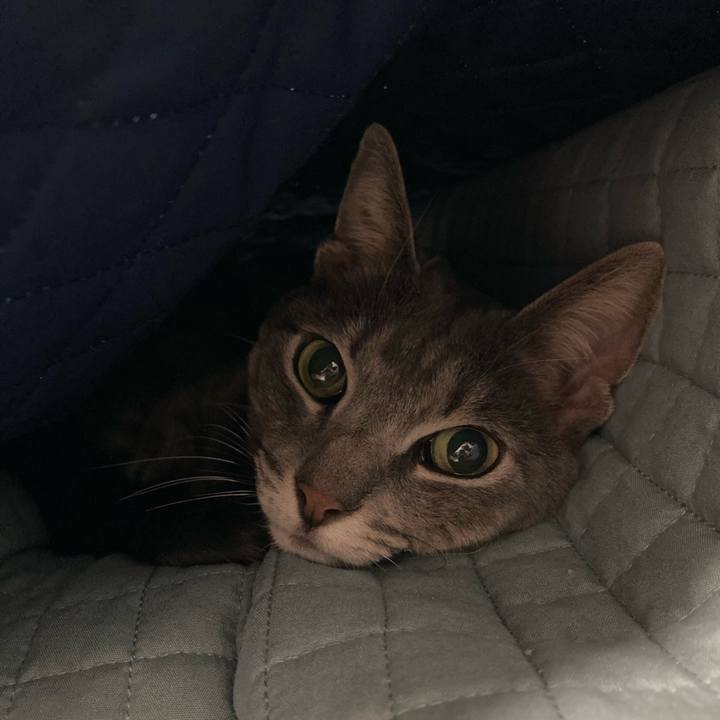 9069010f 6133 45d0 89f9 906283ba9d3e 1735123438701