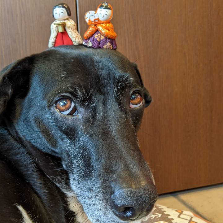 906909fc fd6f 49d2 9a5b 4a9e0dc22704 1709287674570