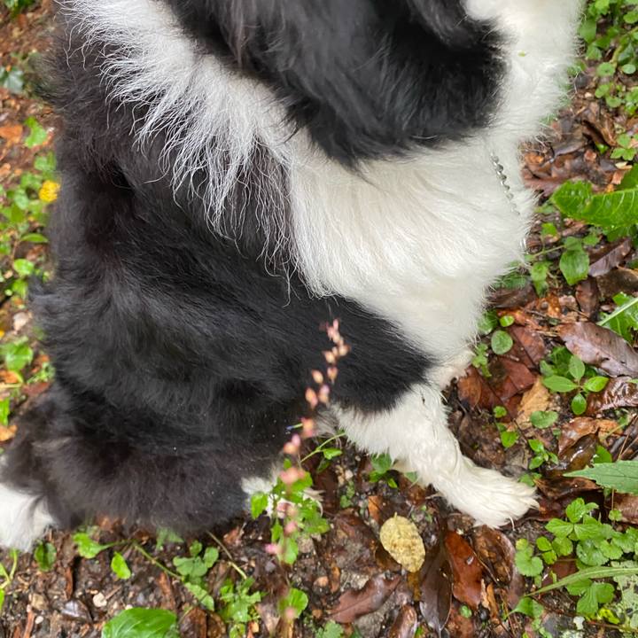 90690d67 707a 4ec5 9c50 ff3824755078 1628493733999