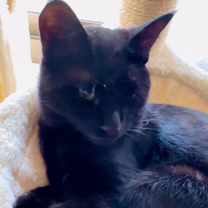 90691a68 23e8 4625 84dd 6076908b35bb 1746435439287