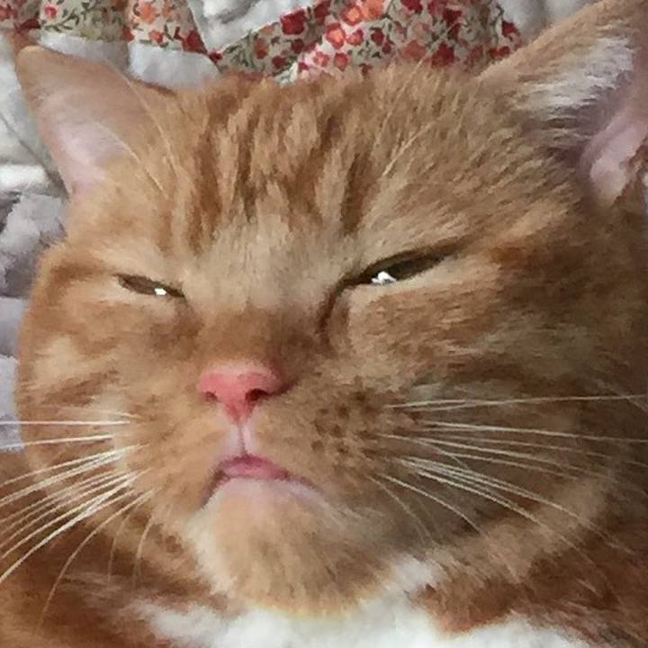 90695319 2b75 4407 9b41 940292f26b45 1533961836711