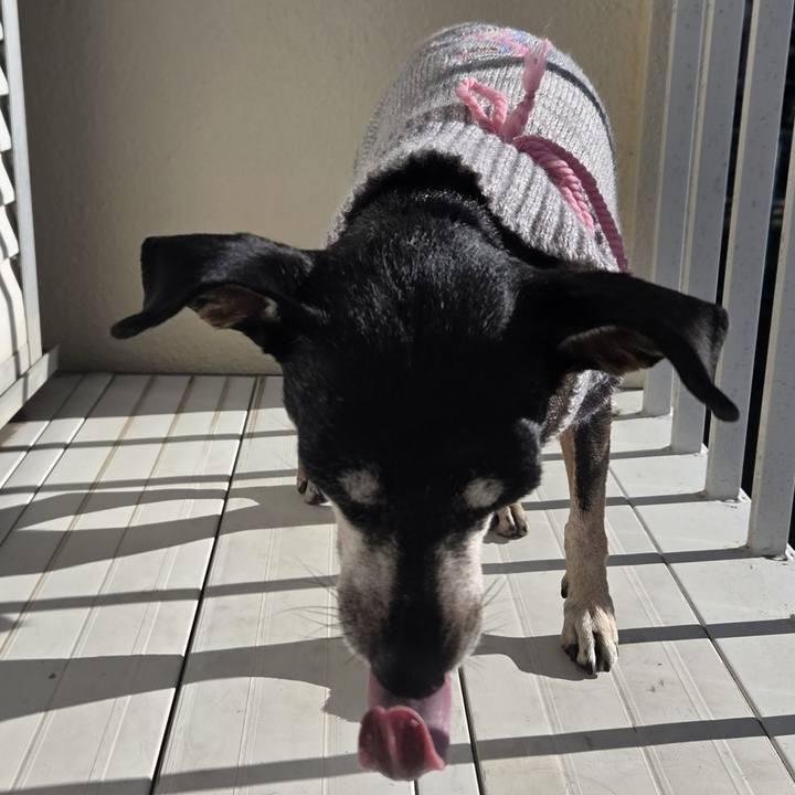 90696747 2194 4db9 83fe da03cc4e78e1 1768193369658