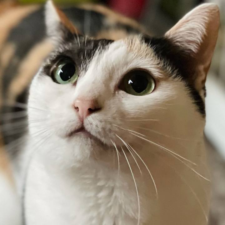 906979a5 376b 4a35 b7bb b5694f3218d6 1624330272095